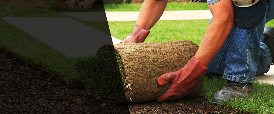 Breezy Point Landscapers